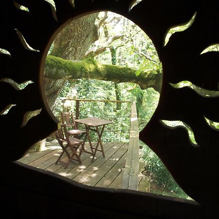 Les Cabanes De Kermenguy Cléder 外观 照片