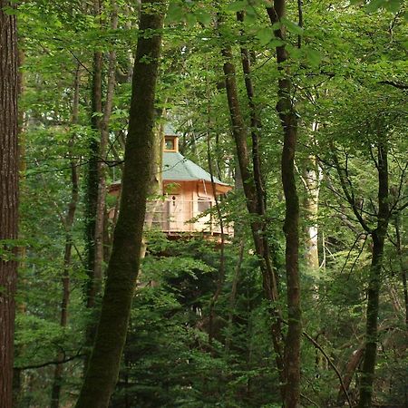Les Cabanes De Kermenguy Cléder 客房 照片