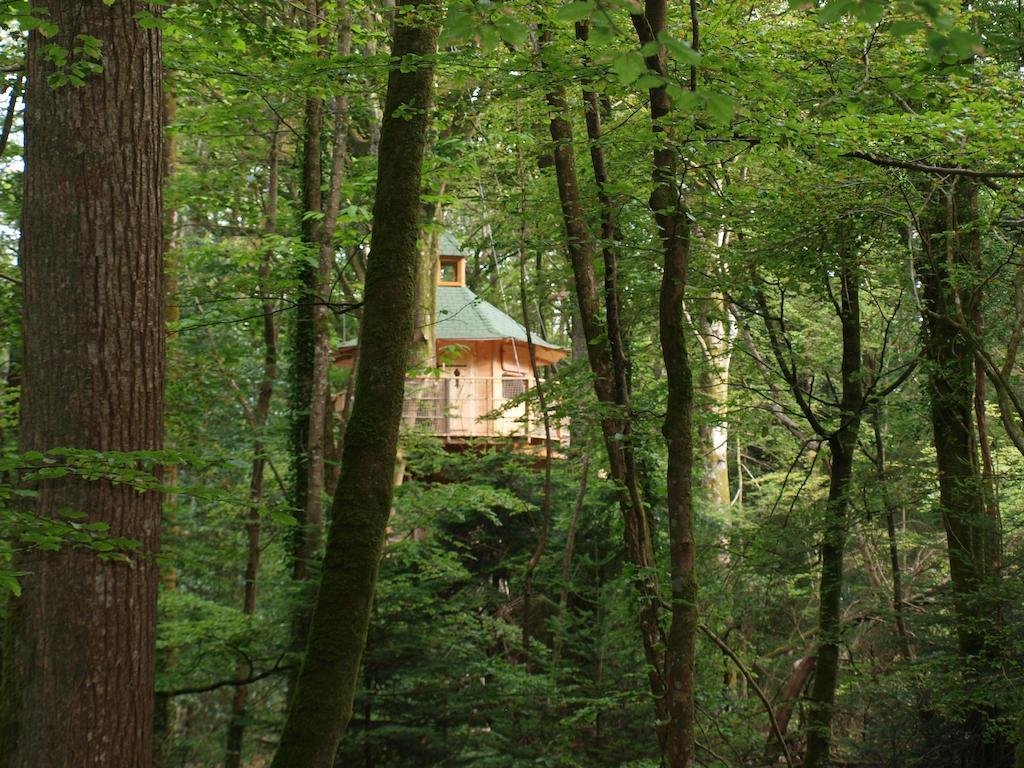 Les Cabanes De Kermenguy Cléder 客房 照片